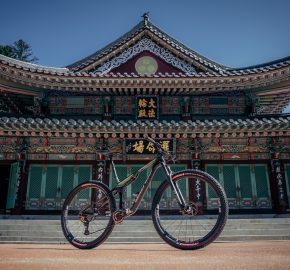 WC_MonaYongpyong_�40staron_photo_018A8822
